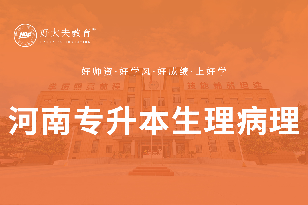 好大夫教育